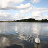Sywell Country Park