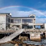Monterey Bay Aquarium