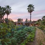 Dinner Recommendation: Flora's Field Kitchen