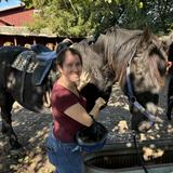 Kurtz Corral