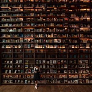 Book Binge in Tsutaya Bookstore in Osaka