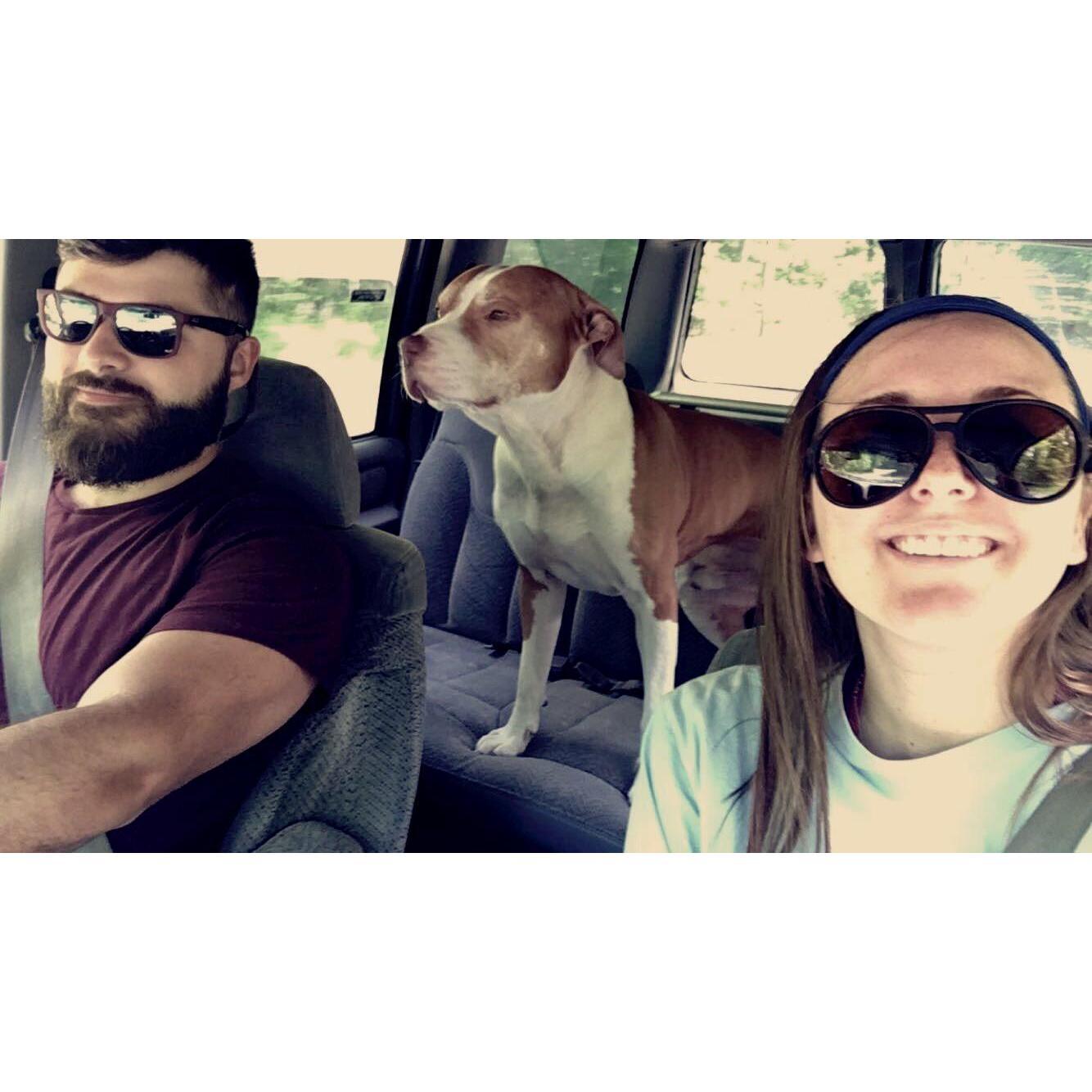 Car Rides with Levi 2017