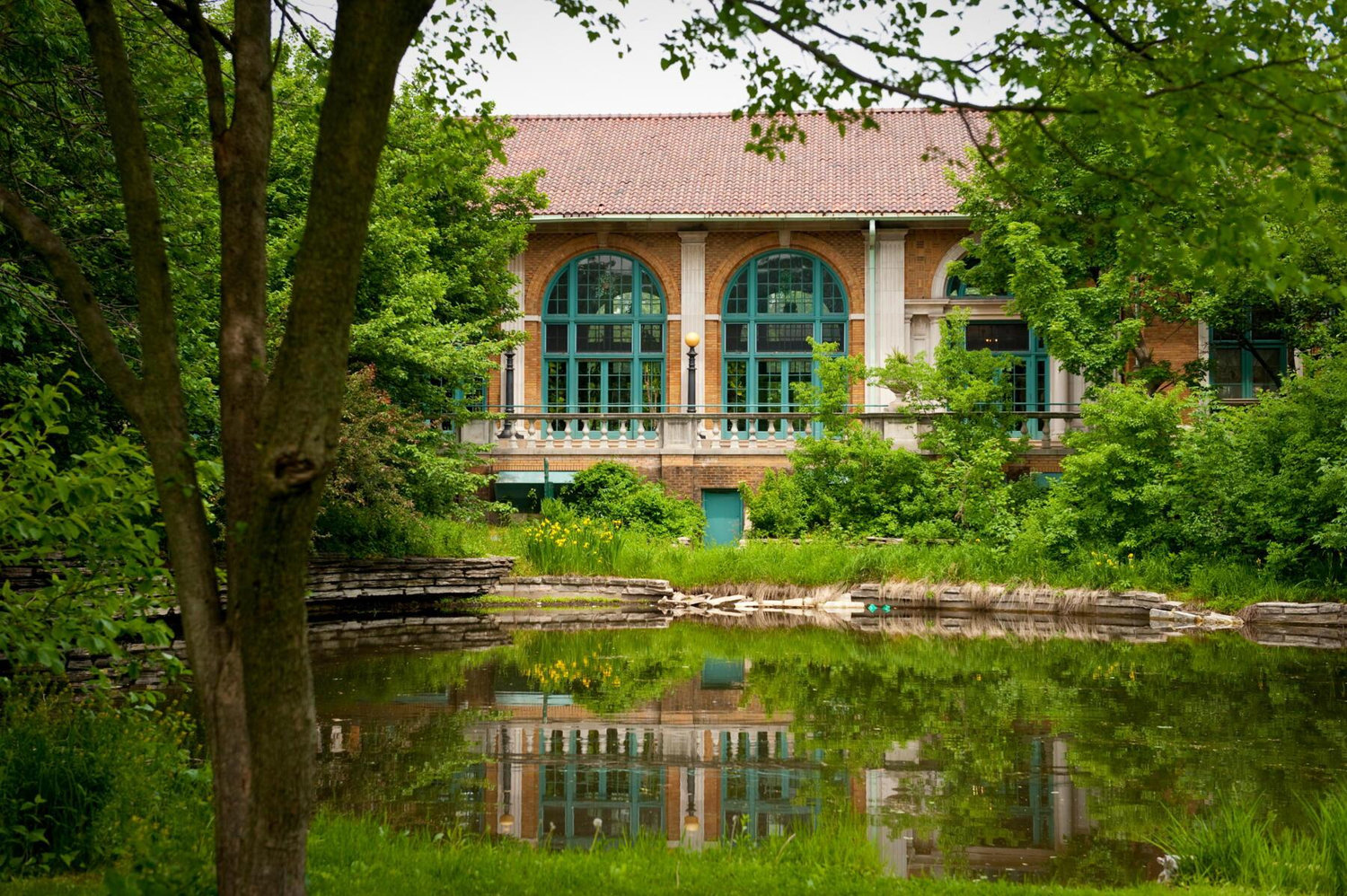 The Wedding Website of Elaina Stephenson and Dylan Apple