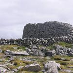 Caherconnell Stone Fort & Sheepdog Demonstrations