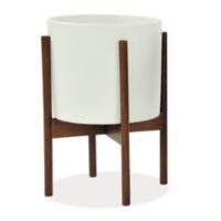 Case Study Planter with Walnut Stand