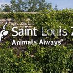 Saint Louis Zoo