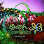Busch Gardens Tampa Bay
