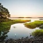 Palmetto Bluff
