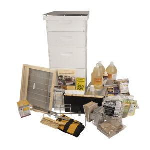 Bee Hive Starter