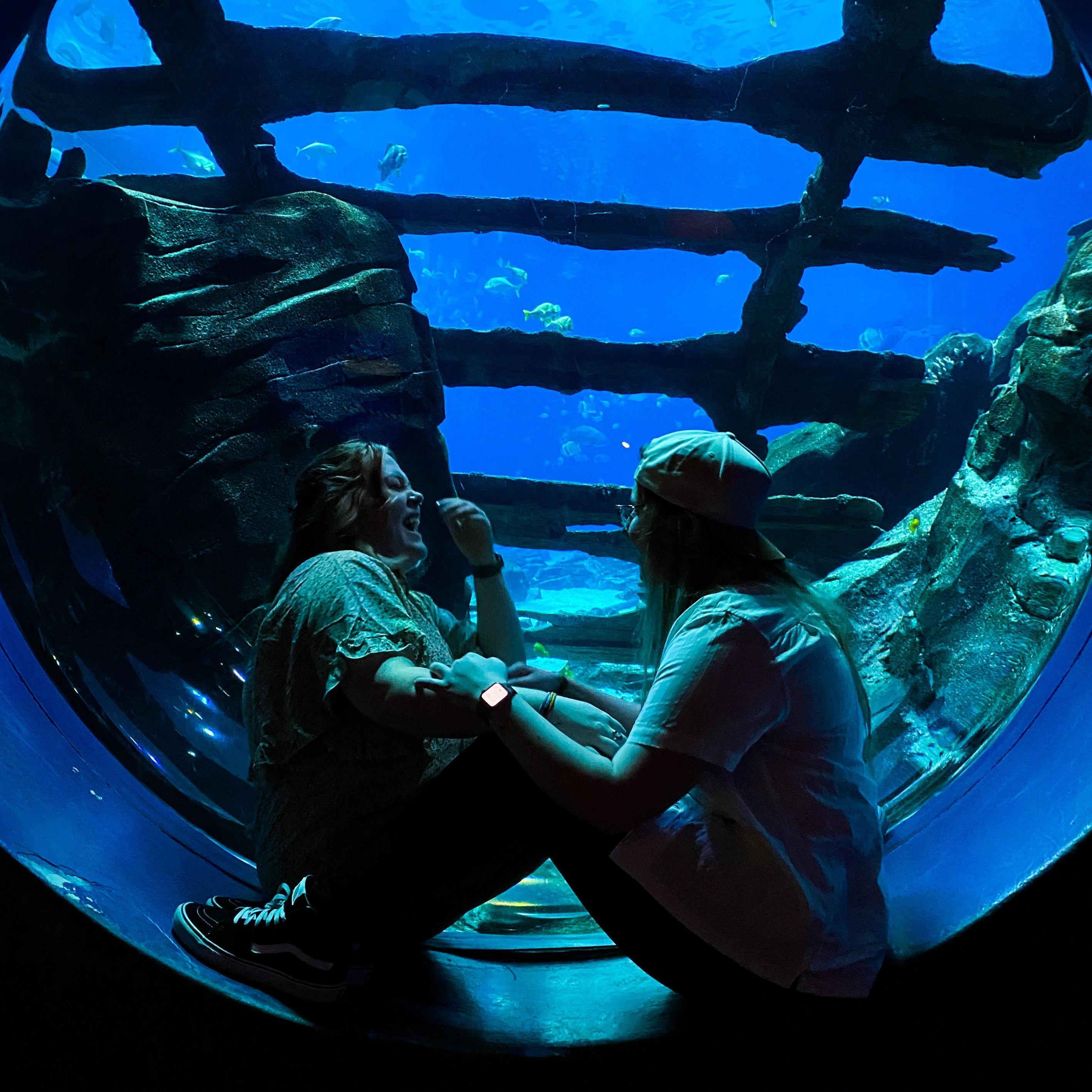 The iconic Georgia Aquarium visit that brought our soft launch photos to life