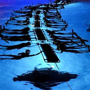 Manta Ray Night Snorkeling