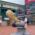 Hadlock Field