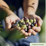 OLIVE OIL TASTING & TOUR