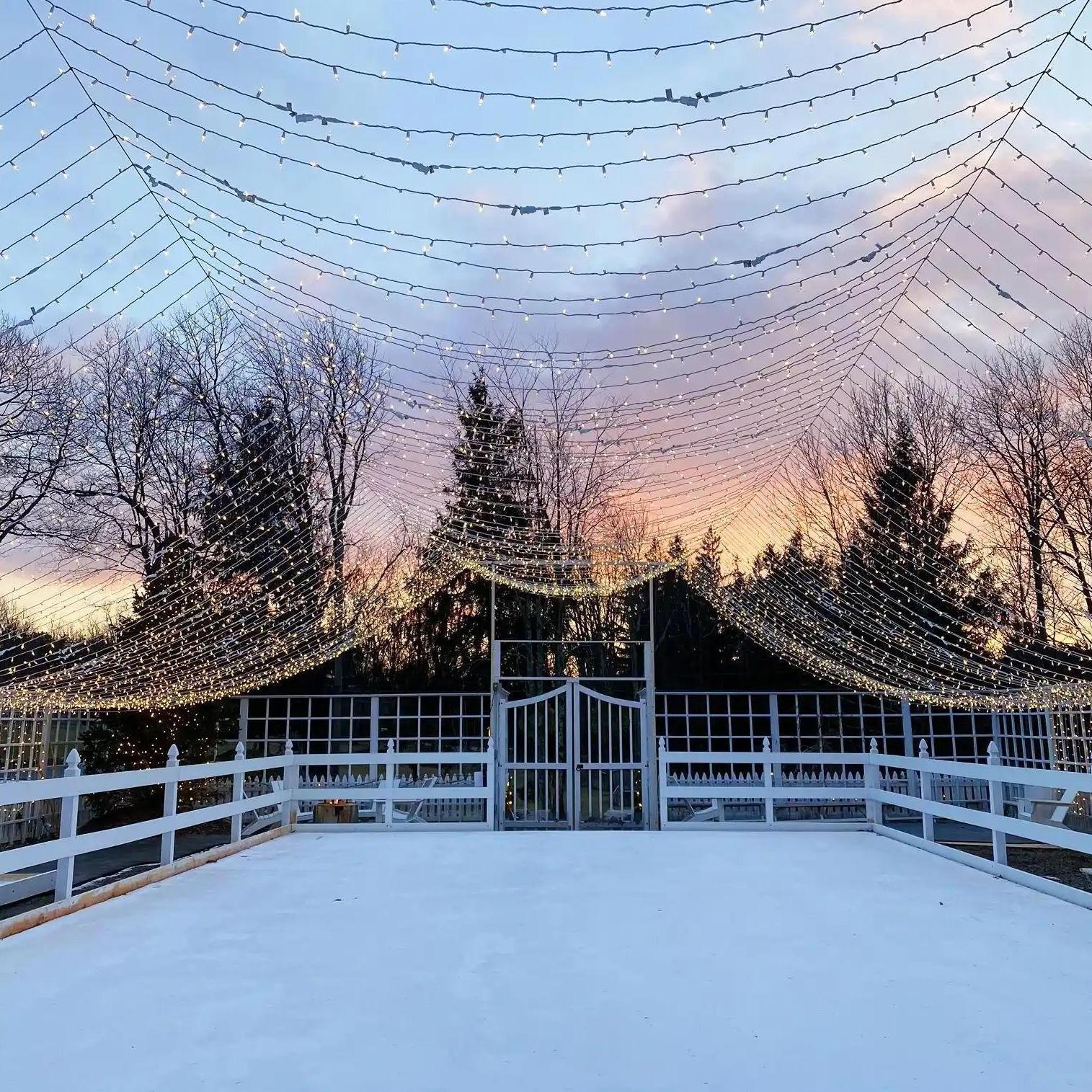 Winter Garden