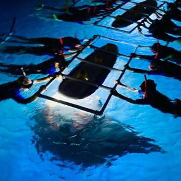Manta Ray Night Snorkeling for Two