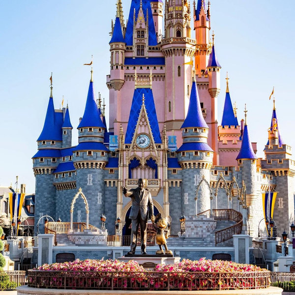 DISNEYWORLD HONEYMOON