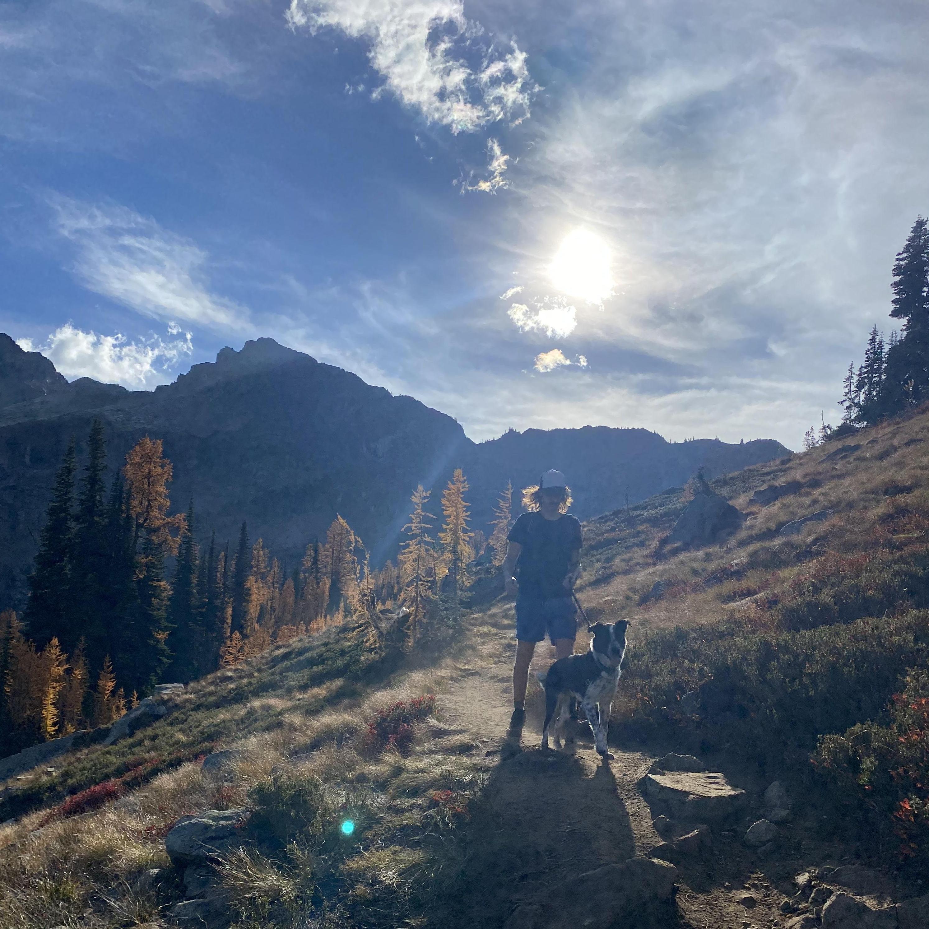 Larch Madness