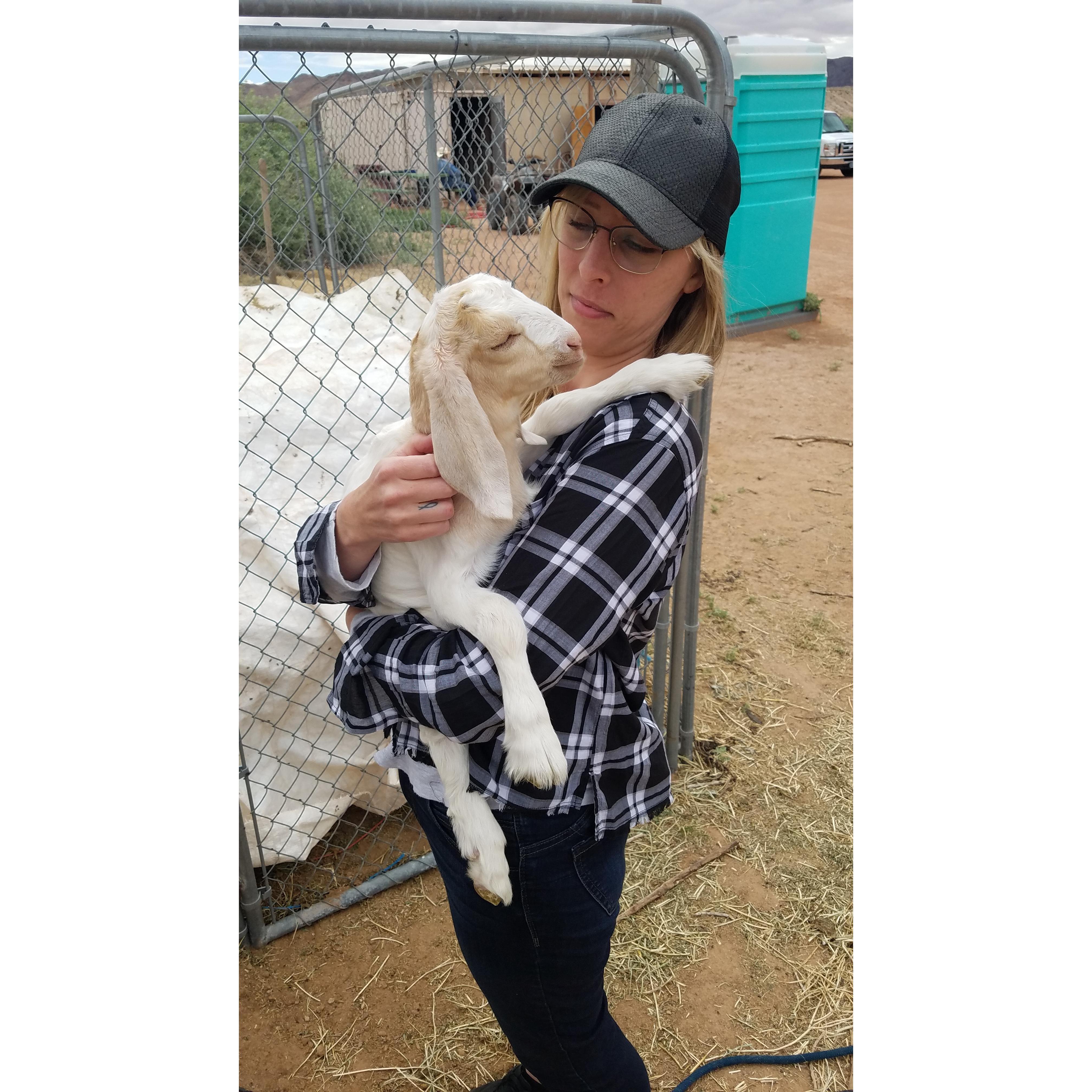 We were able to hold this adorable 3 week old goat. She was so soft and loved to cuddle.