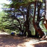 Barouk Cedar Reserve, Beiteddine & Deir El Qamar