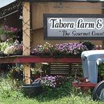 Tabora Farm & Orchard