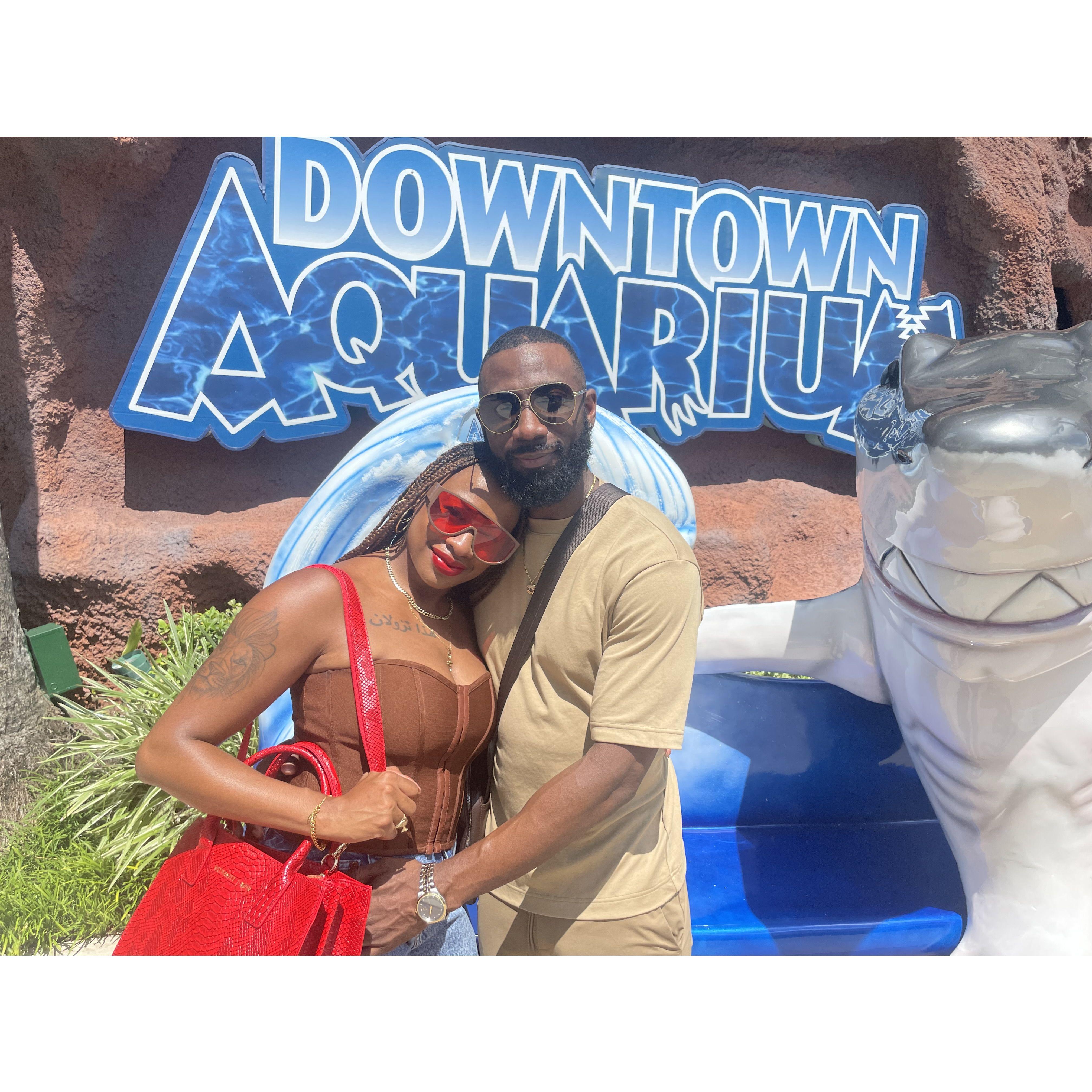 Houston Aquarium August 2022
