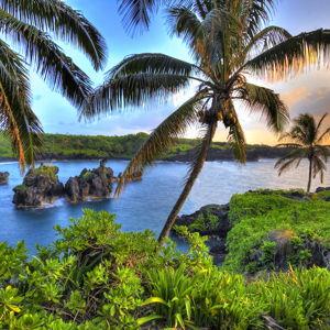Hawaii Honeymoon General Fund!