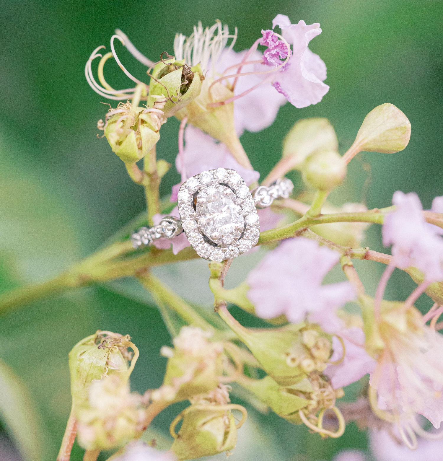 The Wedding Website of Jarrod Roach and Nicole Clapp