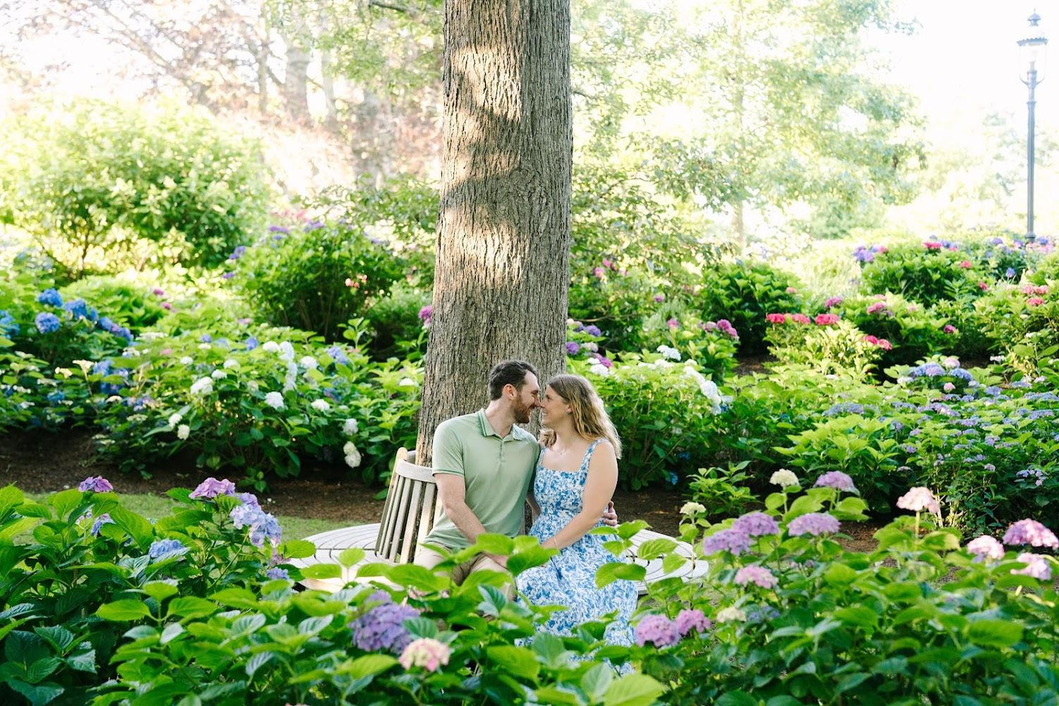 Alexi Cohan and Matthew Chapman's Wedding Website