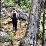 Hiking Trails of Lake Martin