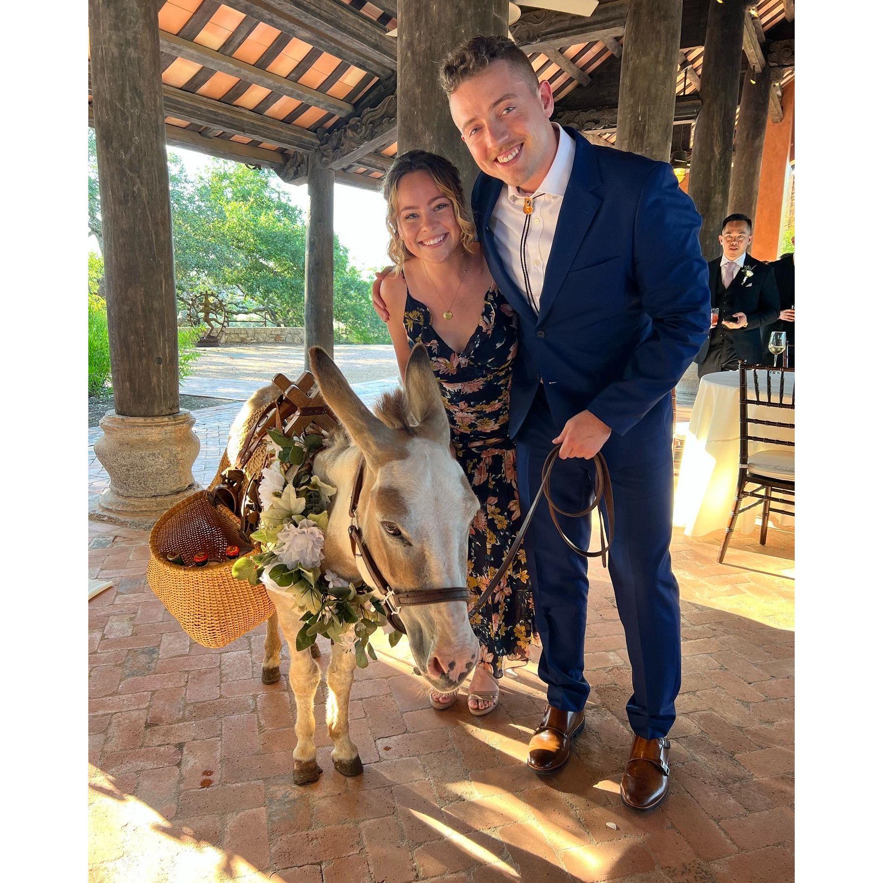 Celebrating our friends Omar & Jac getting married! - 2023