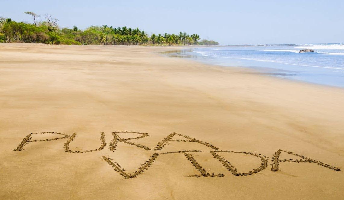 The Wedding Website of Caden Matthew Pennick and Maria Paula Gamboa Corrales