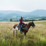 Jake's Horses Inc.