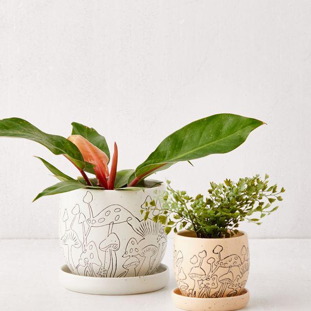 Mushroom Etched Planter And Tray