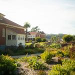 The Walt Disney Family Museum