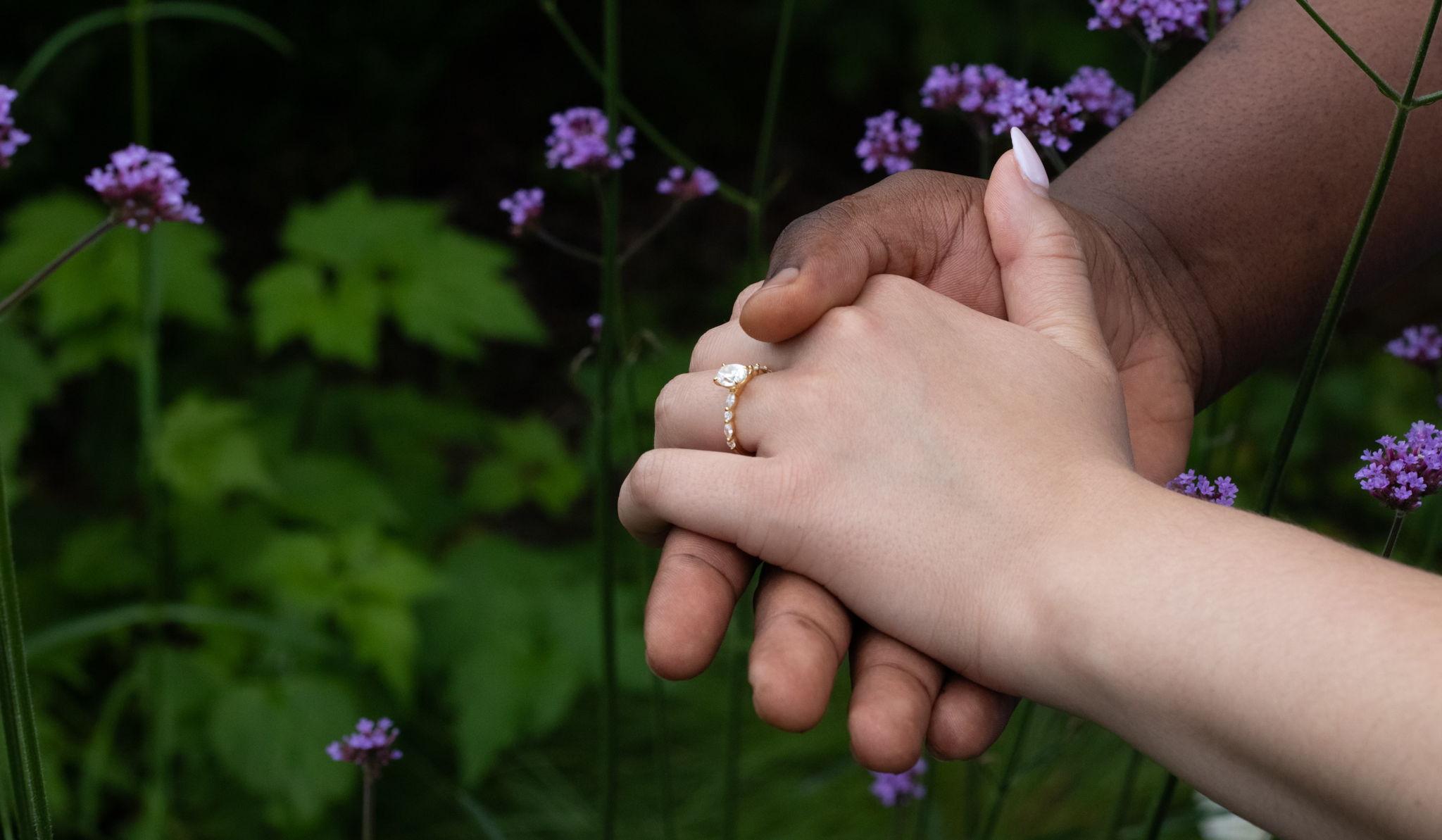 Hero Slideshow Image 3