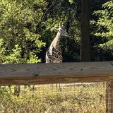 Riverbanks Zoo & Garden