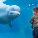 Mystic Aquarium