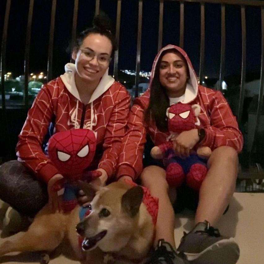 A spiderman household!