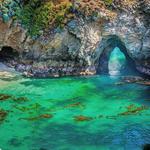Point Lobos