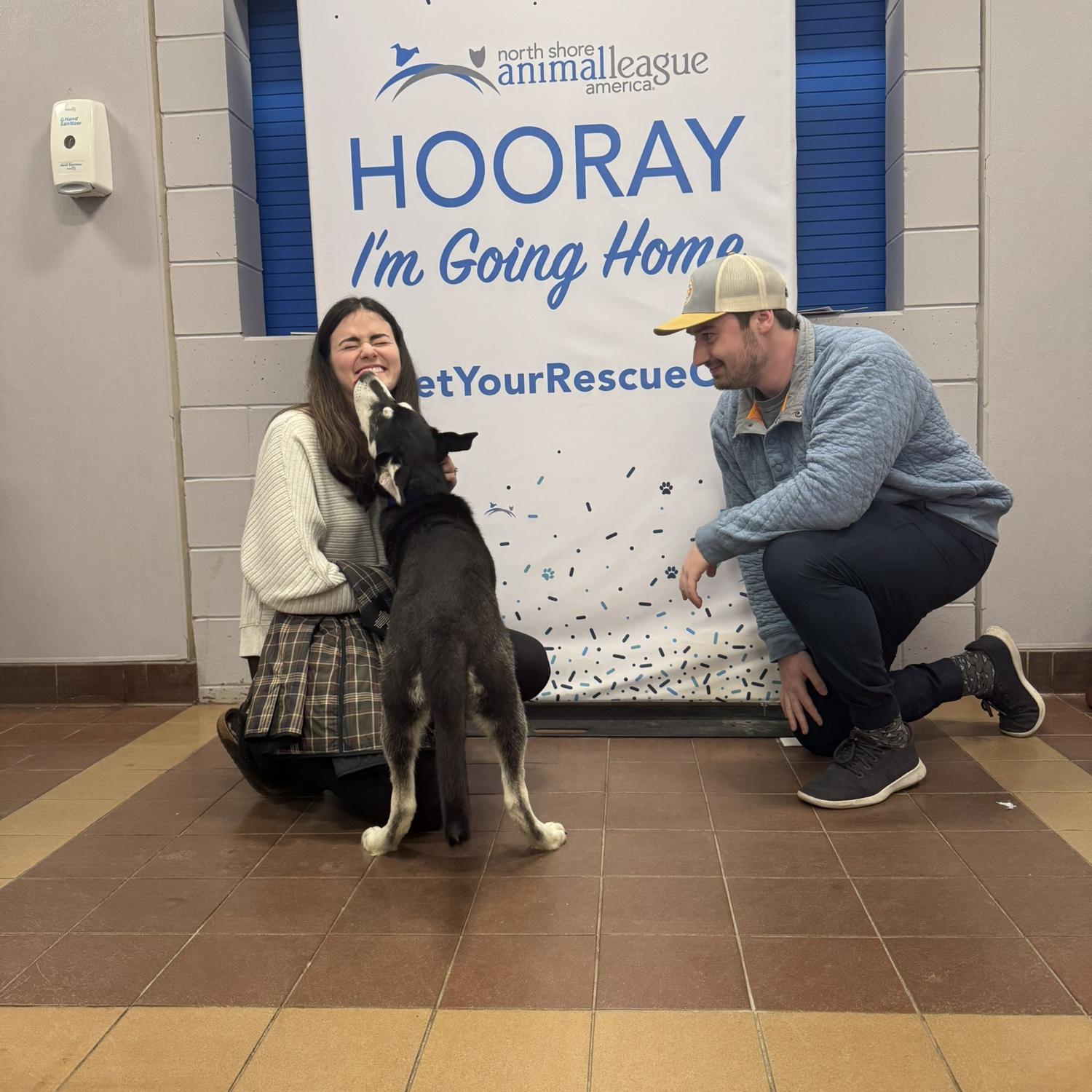 The day we adopted Remi!