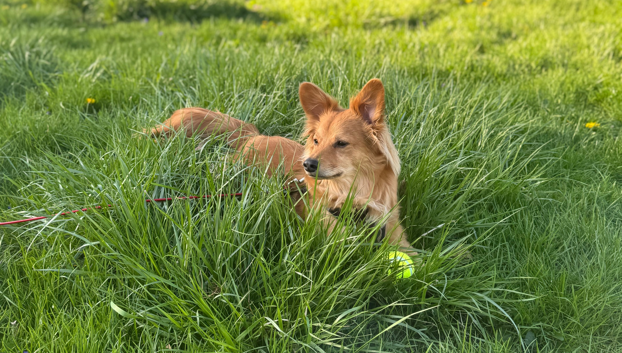 5e983cd8-44b2-474f-8fce-e5bc4b6e1fe7