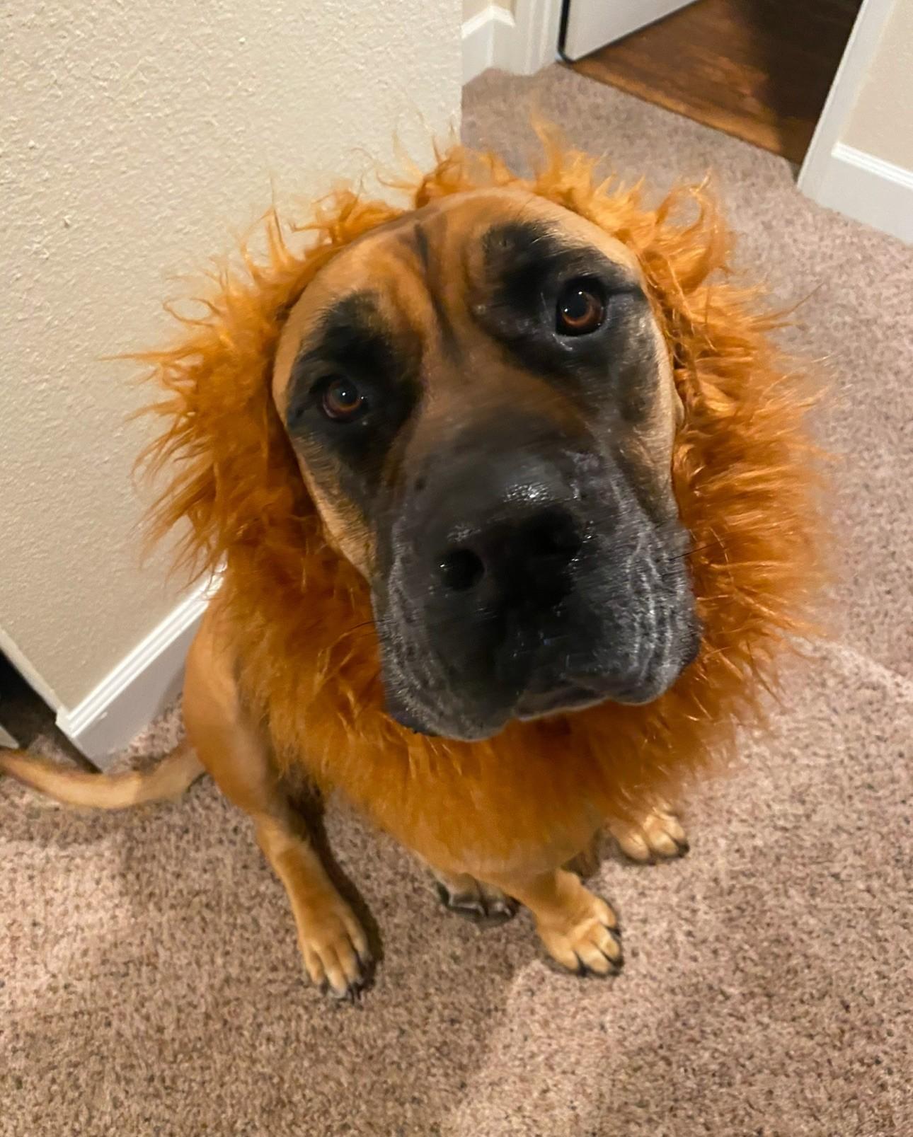 The Wedding Website of Emma Herro and Matt Trejo