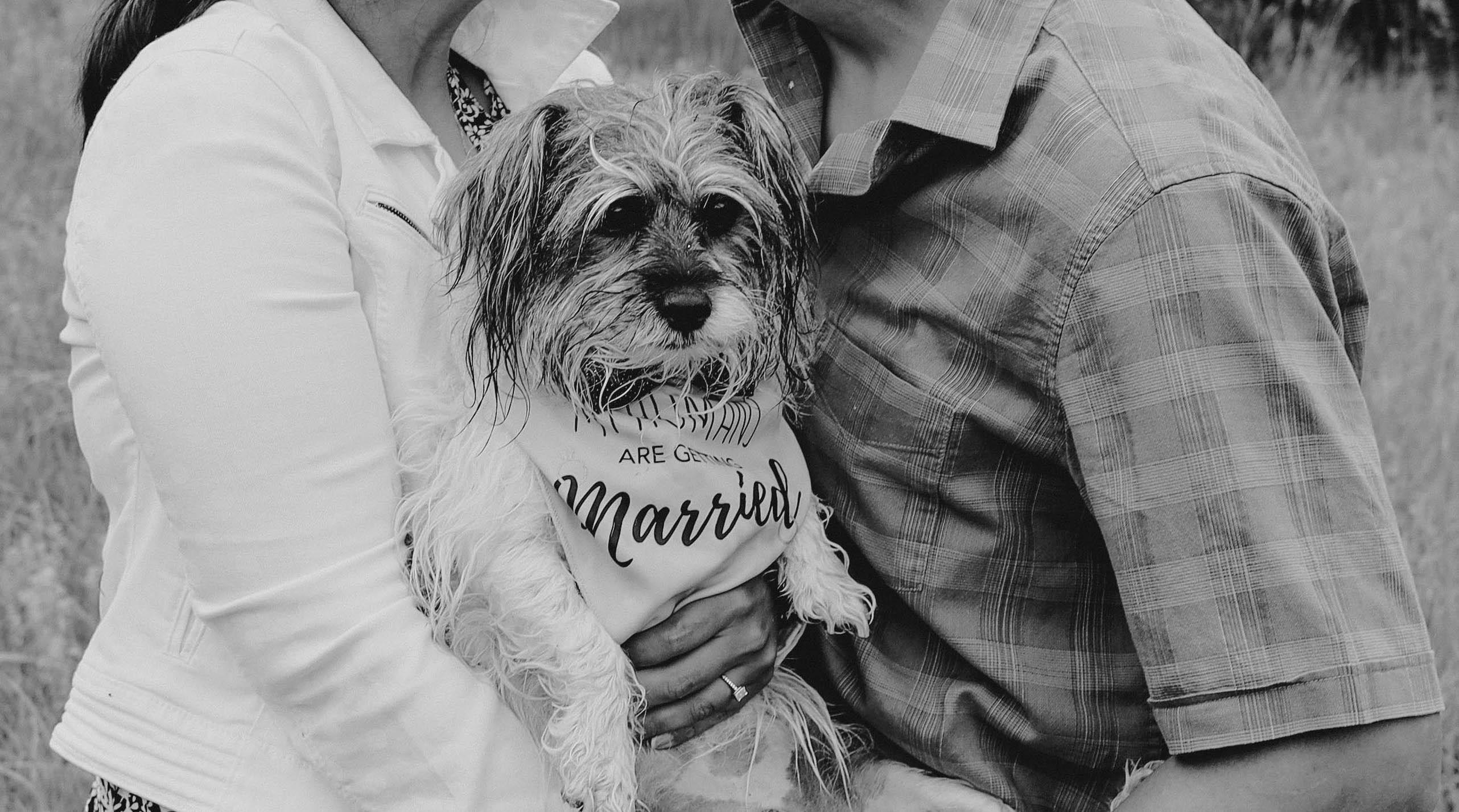The Wedding Website of Catalina Pedraza and James Chavez