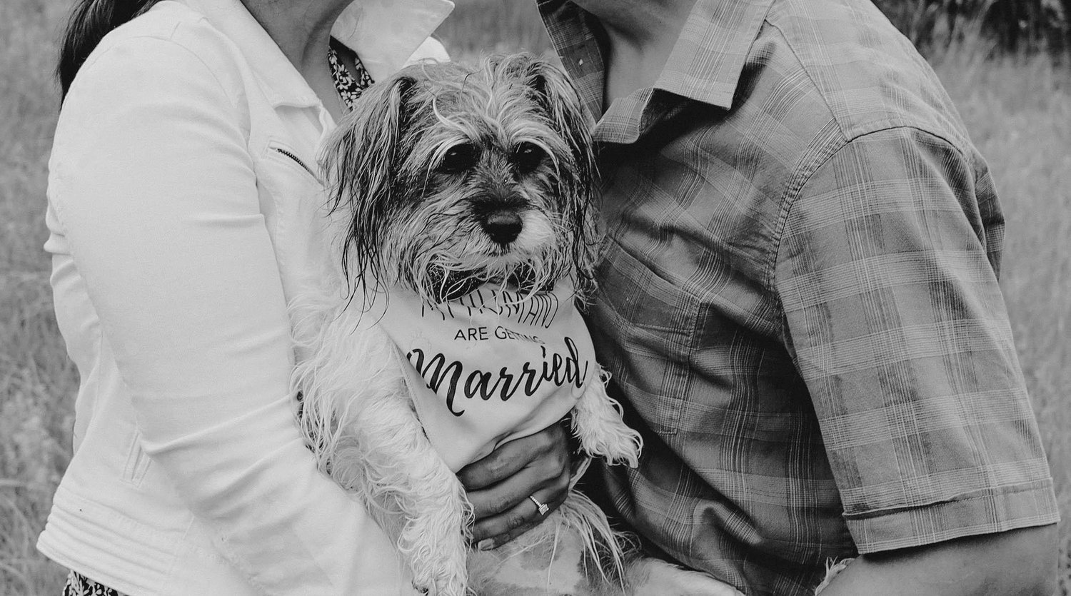 The Wedding Website of Catalina Pedraza and James Chavez