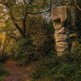 Eridge Rocks Nature Reserve