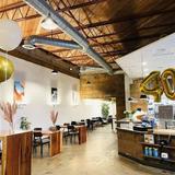 Rooted Coffee Co