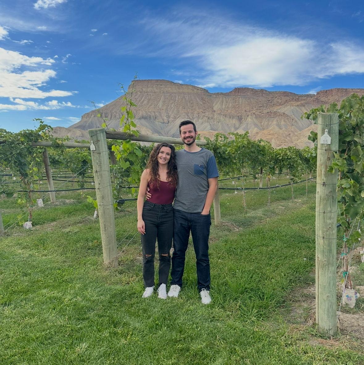 Palisade winery