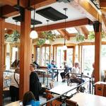 Oso Negro Café