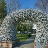 Jackson Hole