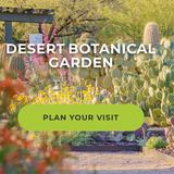 Desert Botanical Garden